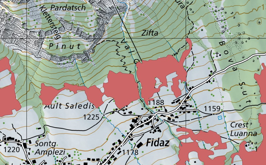 Carte nationale swisstopo avec le périmètre protégé de Saledis (Prairie sèche)