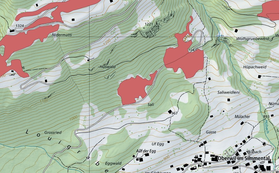 Landeskarte swisstopo mit dem Schutzperimeter von Sali (Trockenwiese)