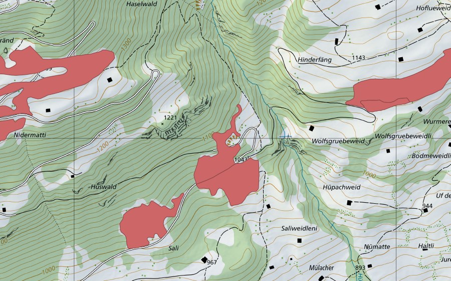 Carte nationale swisstopo avec le périmètre protégé de Sali (Prairie sèche)
