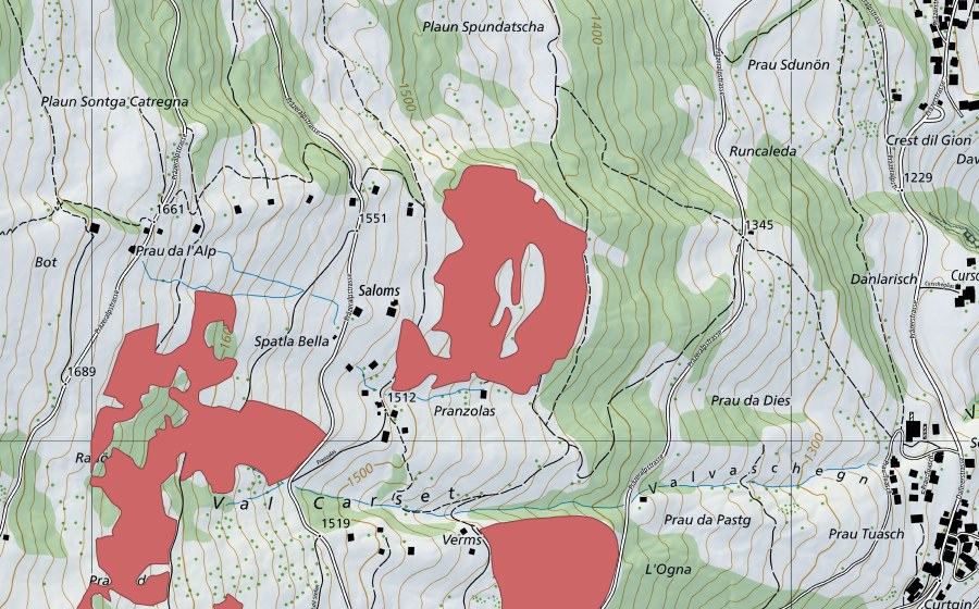 Landeskarte swisstopo mit dem Schutzperimeter von Saloms (Trockenwiese)