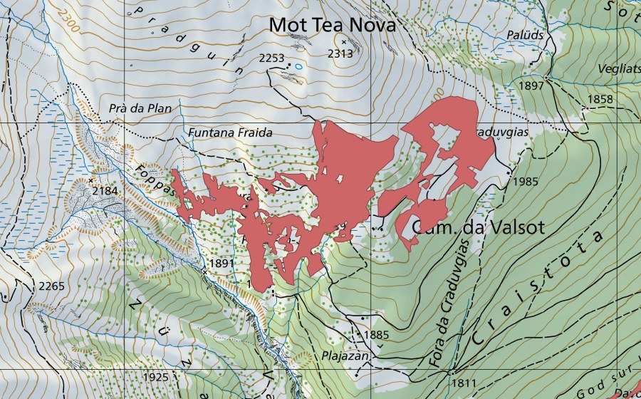 Carte nationale swisstopo avec le périmètre protégé de Saloms (Prairie sèche)