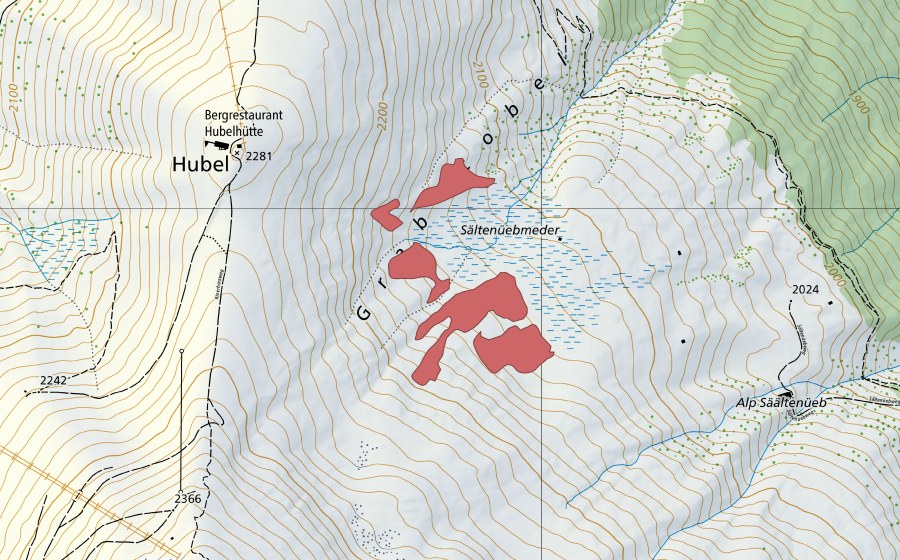 swisstopo national map showing the protected perimeter of Sältenüeb (Dry meadow)