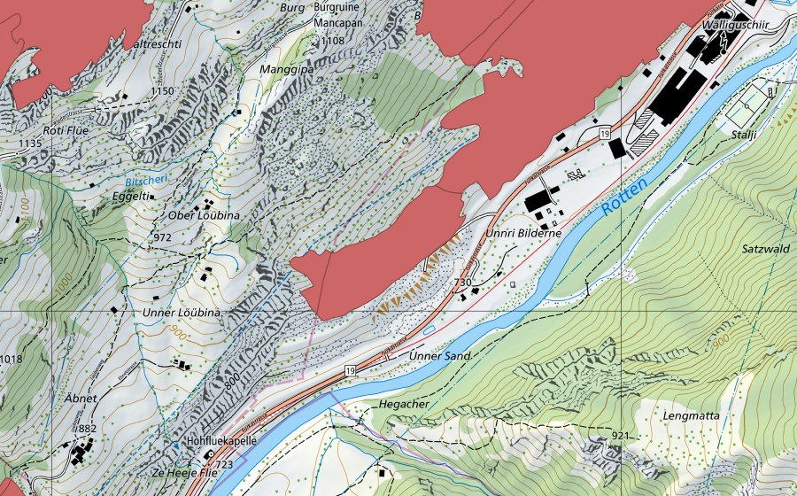 swisstopo national map showing the protected perimeter of Salzgäbchnubel (Dry meadow)