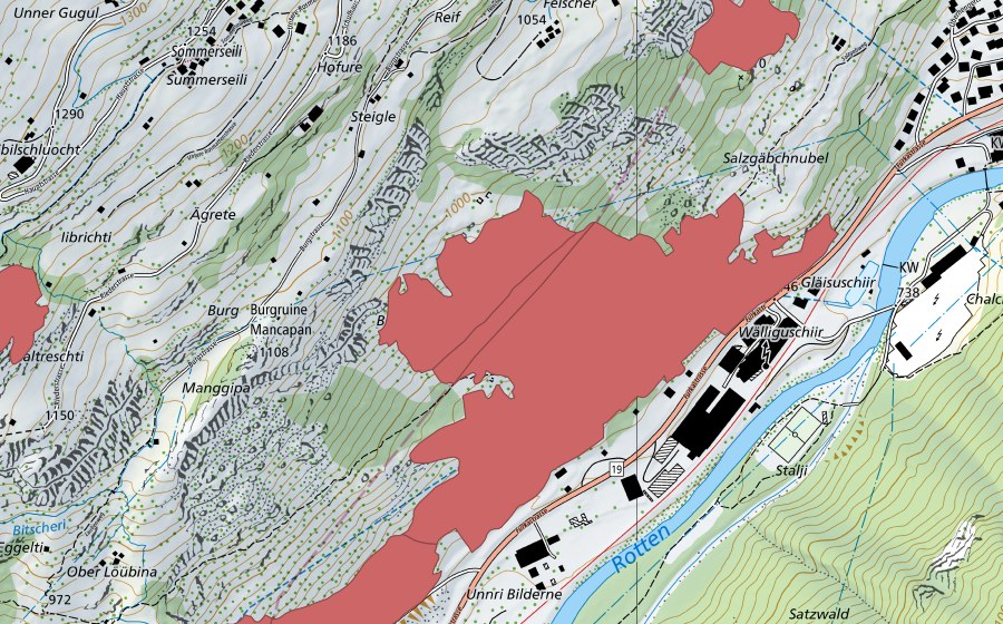 swisstopo national map showing the protected perimeter of Salzgäbchnubel (Dry meadow)