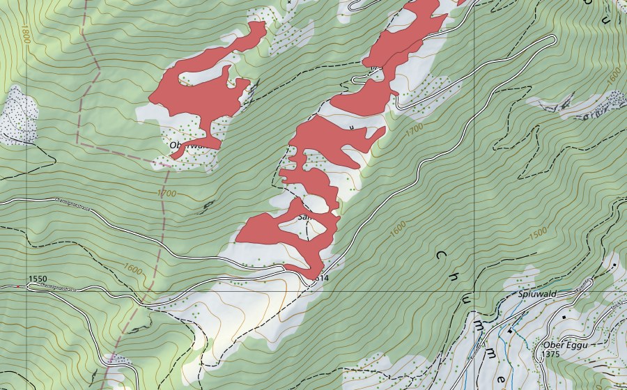 swisstopo national map showing the protected perimeter of Sämsu (Dry meadow)