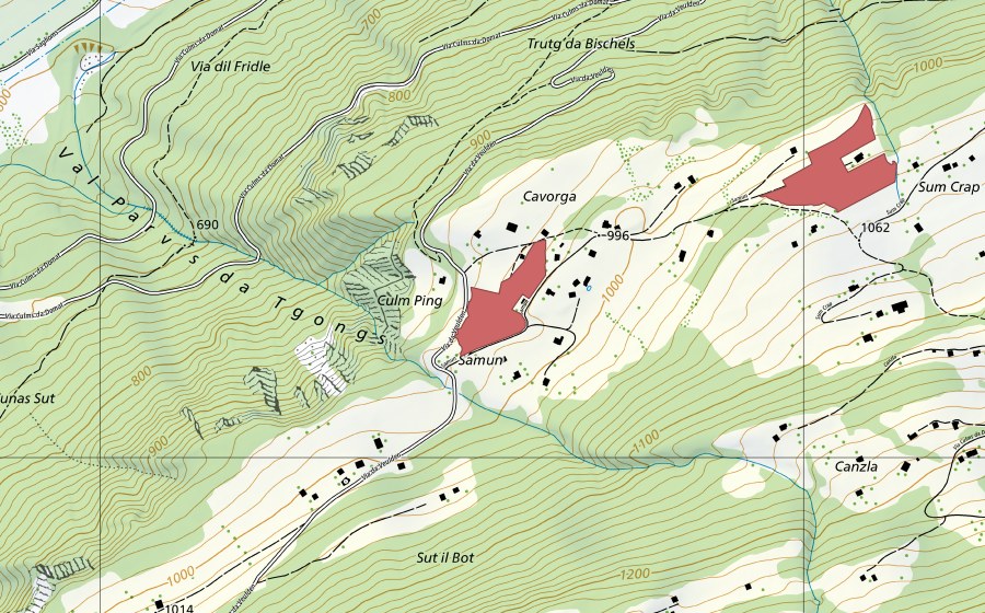 swisstopo national map showing the protected perimeter of Samun (Dry meadow)
