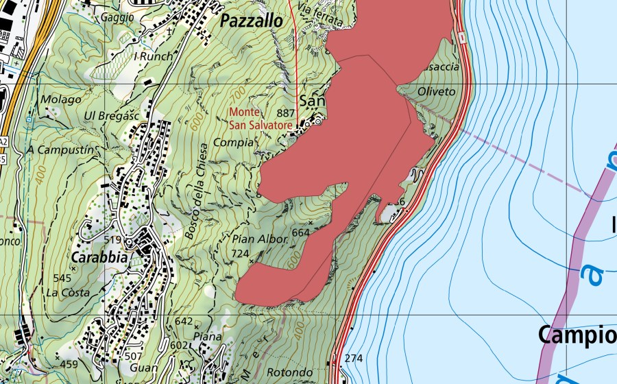swisstopo national map showing the protected perimeter of San Salvatore (Dry meadow)
