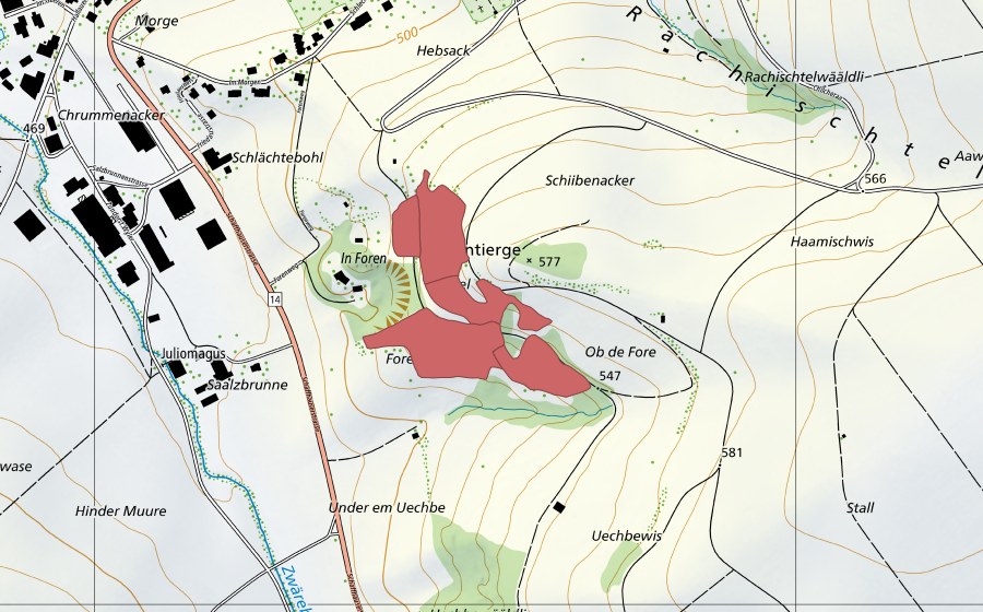 Carte nationale swisstopo avec le périmètre protégé de Santiergen (Prairie sèche)