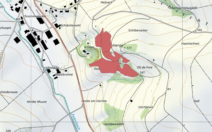 Carte nationale swisstopo avec le périmètre protégé de Santiergen (Prairie sèche)