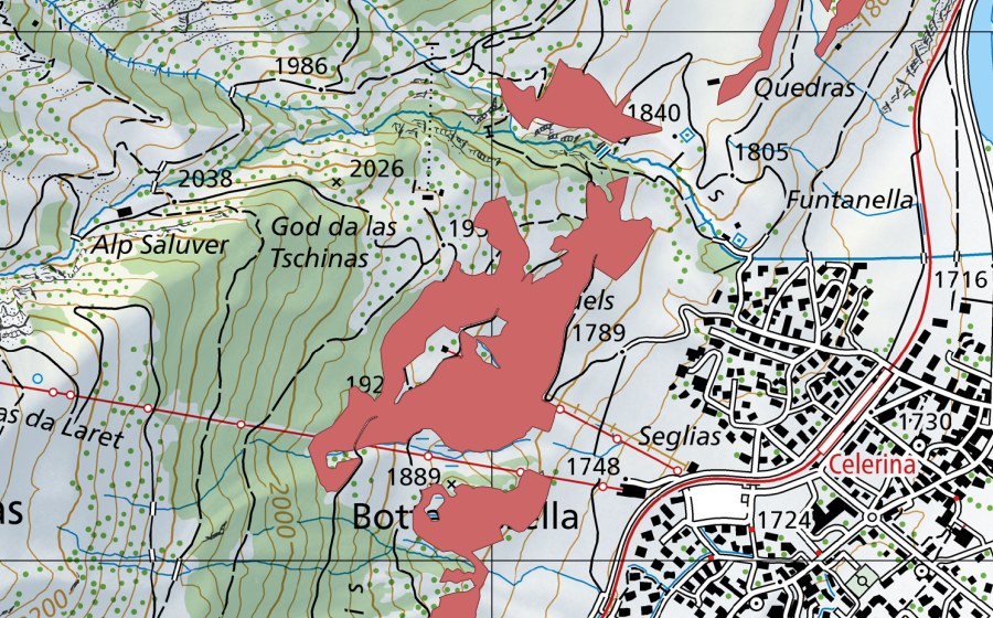 swisstopo national map showing the protected perimeter of Saruels (Dry meadow)