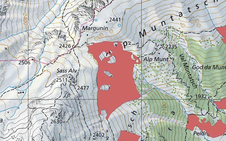 swisstopo national map showing the protected perimeter of Sass Alv (Dry meadow)