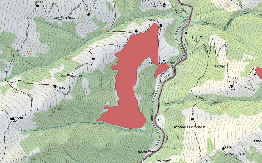 swisstopo national map showing the protected perimeter of Sassalas d'en Bas (Dry meadow)