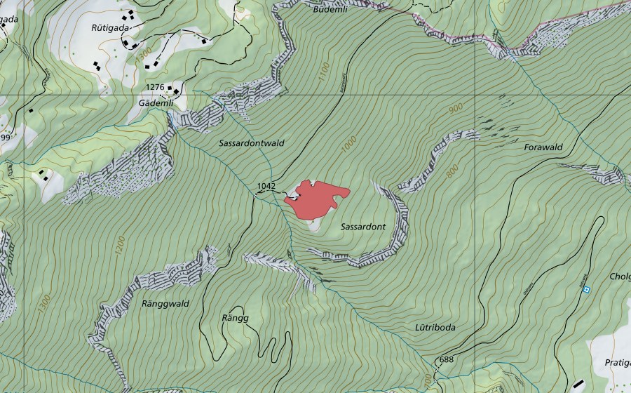 Landeskarte swisstopo mit dem Schutzperimeter von Sasserdunt (Trockenwiese)