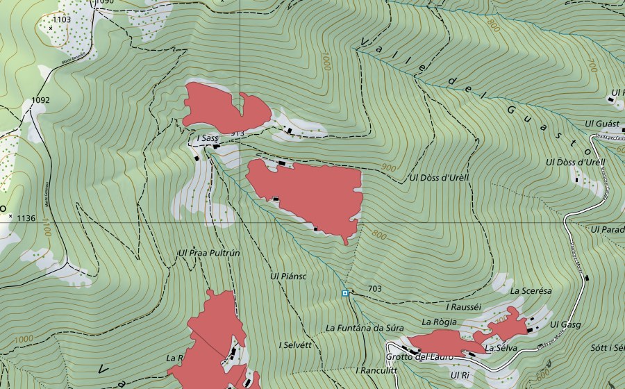 swisstopo national map showing the protected perimeter of Sassi (Dry meadow)