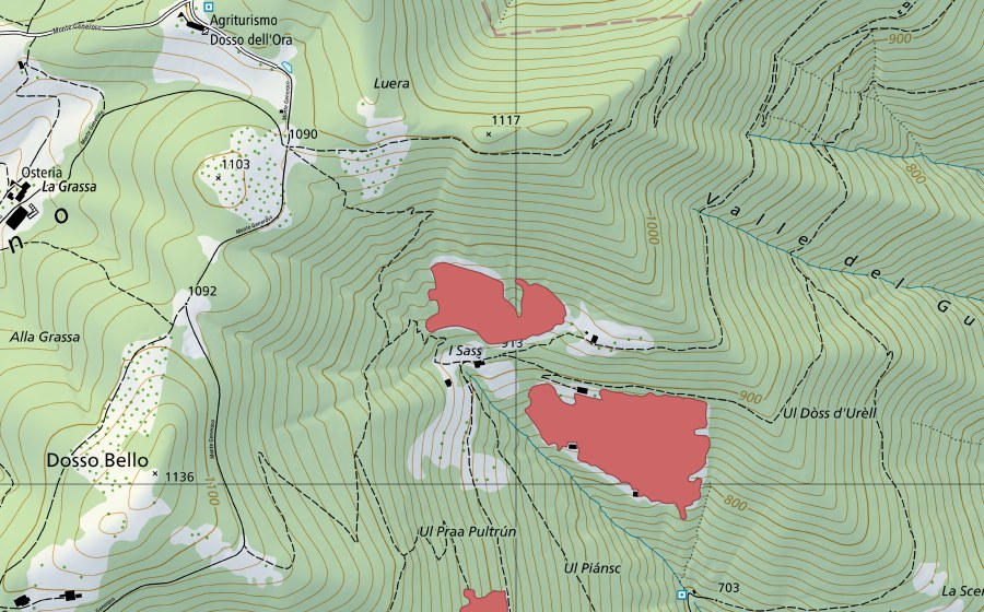Carta nazionale swisstopo con il perimetro protetto di Sassi (Prato secco)