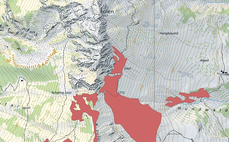 swisstopo national map showing the protected perimeter of Sassigrat (Dry meadow)