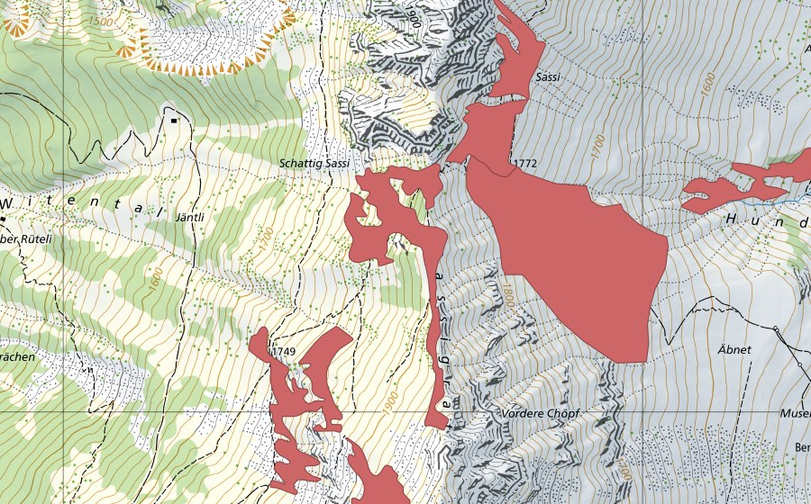 swisstopo national map showing the protected perimeter of Sassigrat (Dry meadow)