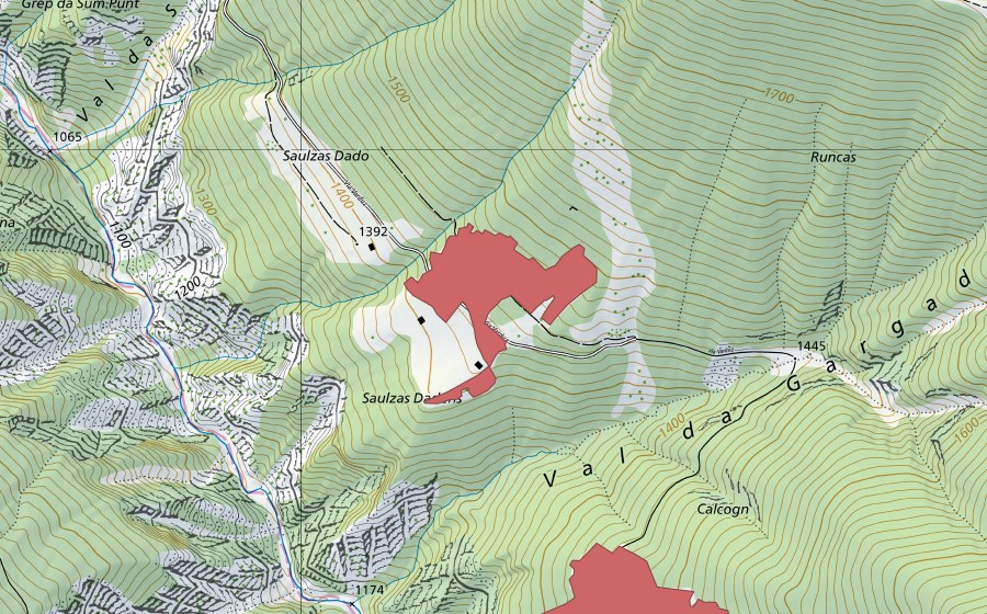 Carte nationale swisstopo avec le périmètre protégé de Saulzas (Prairie sèche)