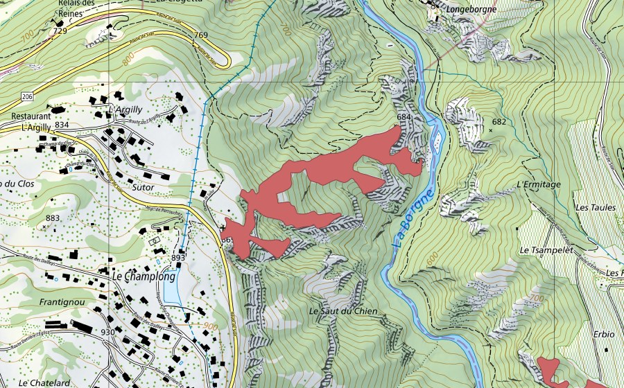 swisstopo national map showing the protected perimeter of Saut du Chien (Dry meadow)