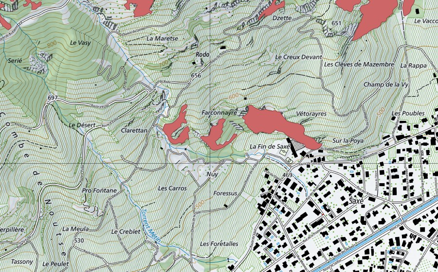 Landeskarte swisstopo mit dem Schutzperimeter von Saxé (Trockenwiese)