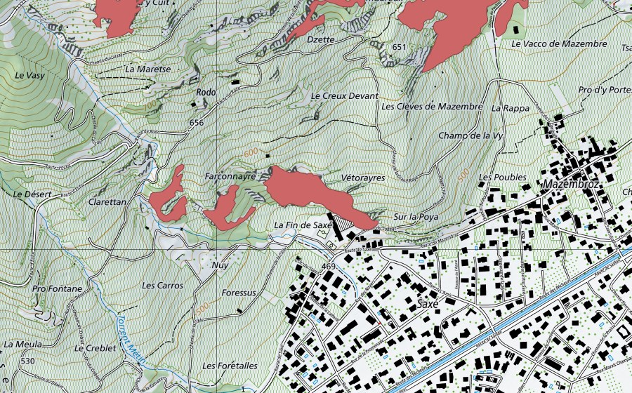swisstopo national map showing the protected perimeter of Saxé (Dry meadow)