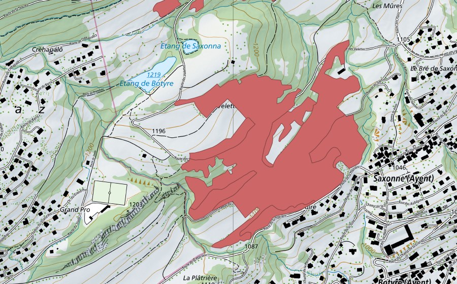 Carte nationale swisstopo avec le périmètre protégé de Saxonne (Prairie sèche)