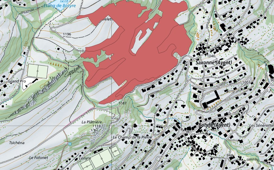 Carte nationale swisstopo avec le périmètre protégé de Saxonne (Prairie sèche)