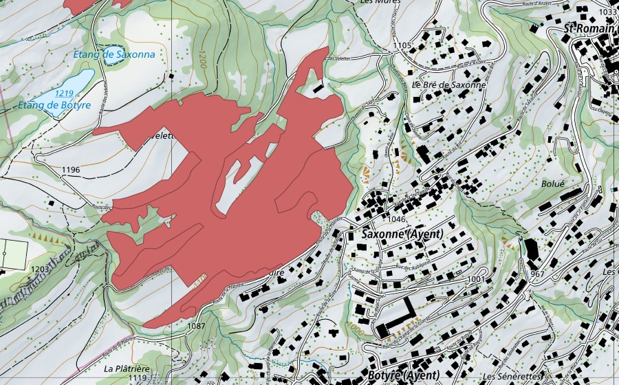 Landeskarte swisstopo mit dem Schutzperimeter von Saxonne (Trockenwiese)