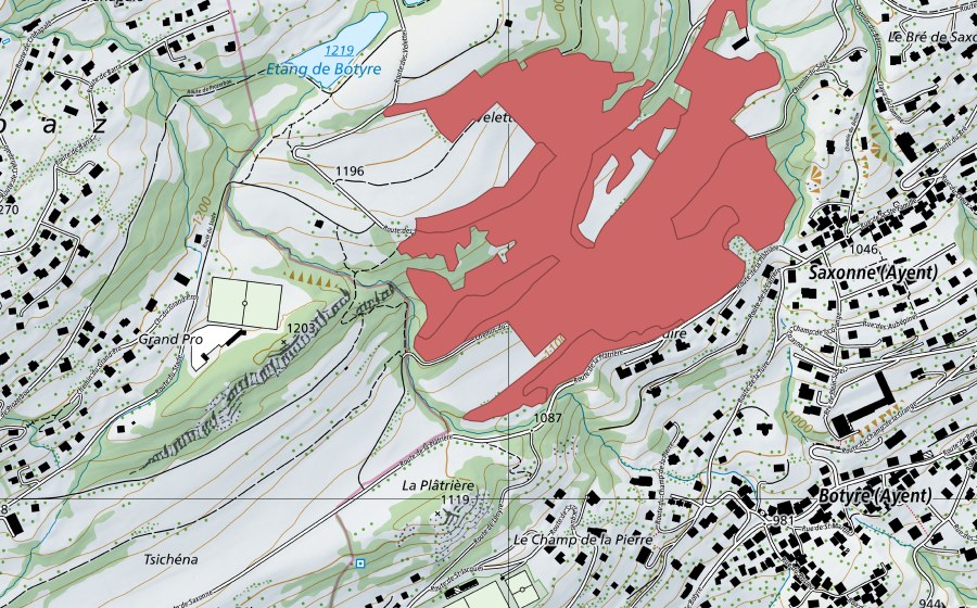 Carte nationale swisstopo avec le périmètre protégé de Saxonne (Prairie sèche)
