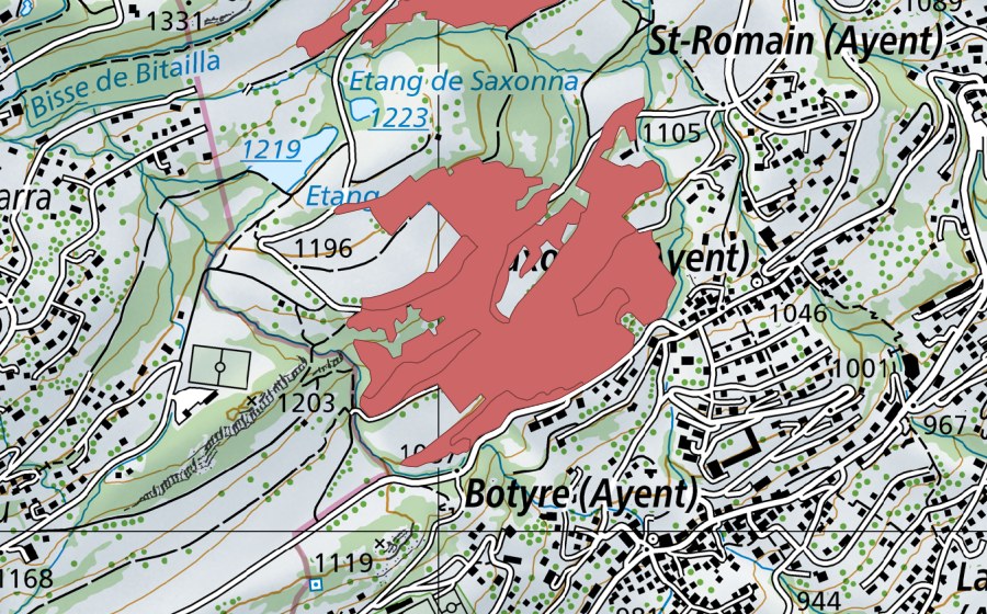 Landeskarte swisstopo mit dem Schutzperimeter von Saxonne (Trockenwiese)