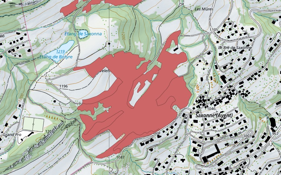 swisstopo national map showing the protected perimeter of Saxonne (Dry meadow)