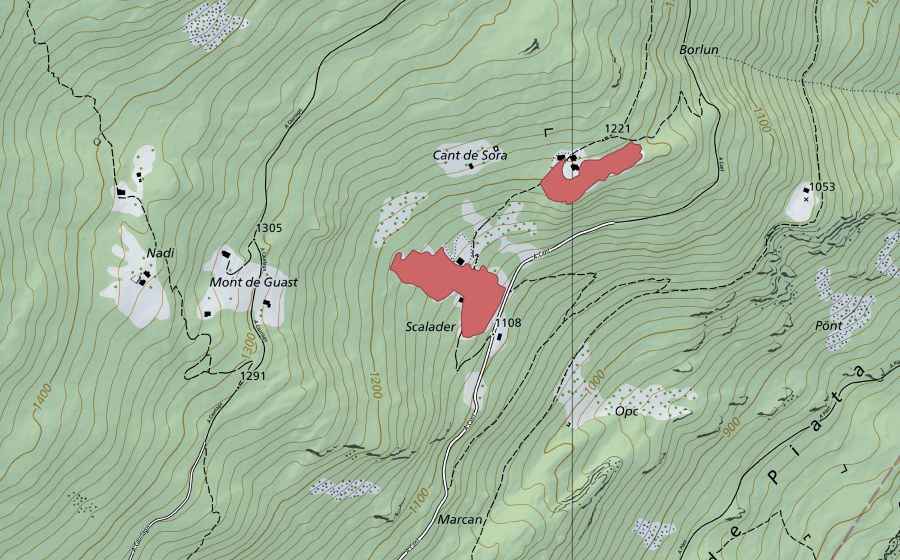 swisstopo national map showing the protected perimeter of Scalader (Dry meadow)