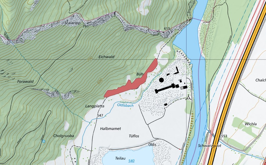 Landeskarte swisstopo mit dem Schutzperimeter von Scalaripp (Trockenwiese)