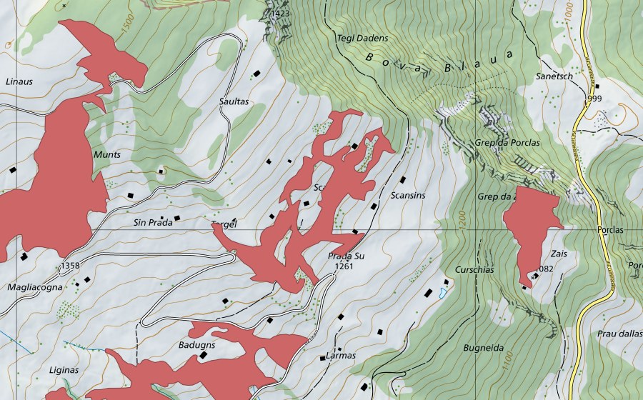 swisstopo national map showing the protected perimeter of Scansins (Dry meadow)