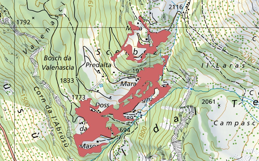 swisstopo national map showing the protected perimeter of Scelbez (Dry meadow)