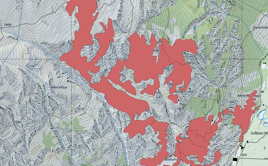 swisstopo national map showing the protected perimeter of Schalubärg (Dry meadow)