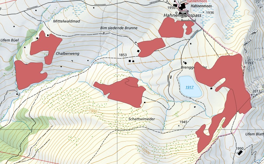 swisstopo national map showing the protected perimeter of Schattwimeder (Dry meadow)