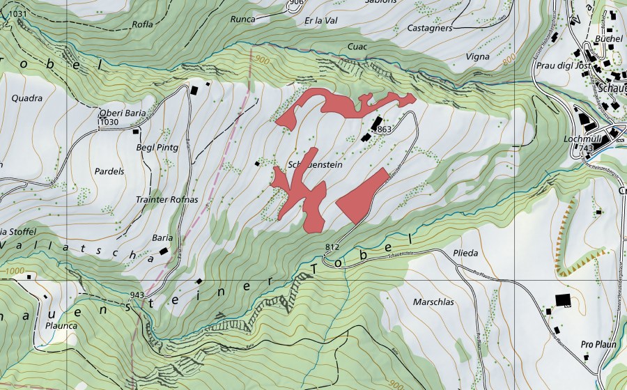 Carte nationale swisstopo avec le périmètre protégé de Schauenstein (Prairie sèche)
