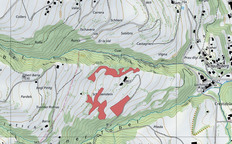swisstopo national map showing the protected perimeter of Schauenstein (Dry meadow)