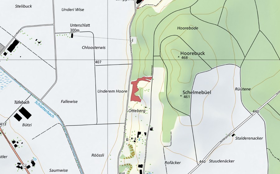 Landeskarte swisstopo mit dem Schutzperimeter von Schelmebüel (Trockenwiese)