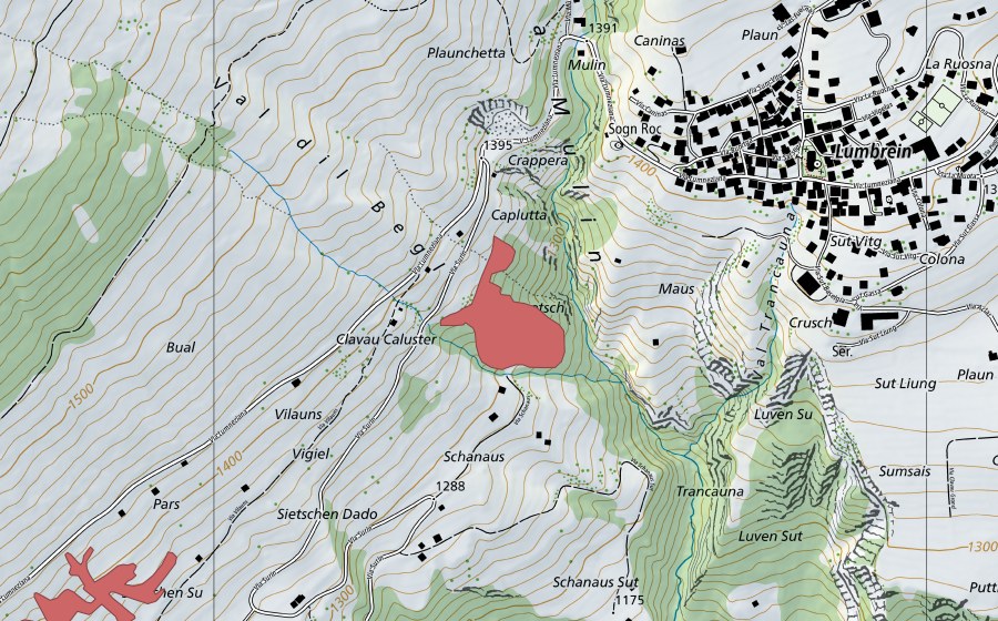 swisstopo national map showing the protected perimeter of Schenaus (Dry meadow)