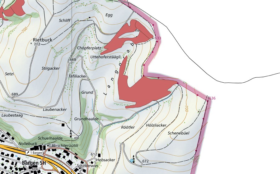 Landeskarte swisstopo mit dem Schutzperimeter von Schenenbüel (Trockenwiese)