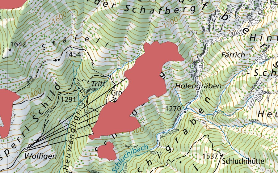 swisstopo national map showing the protected perimeter of Schildberg (Dry meadow)