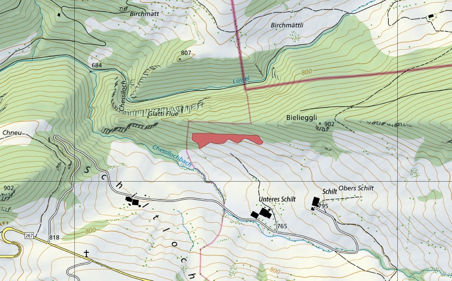 swisstopo national map showing the protected perimeter of Schilt (Dry meadow)