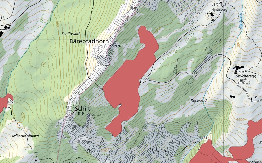 swisstopo national map showing the protected perimeter of Schilt (Dry meadow)