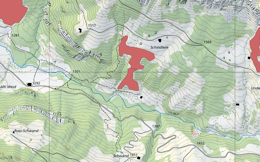 swisstopo national map showing the protected perimeter of Schindlere (Dry meadow)