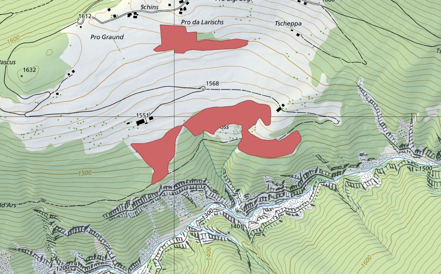Carte nationale swisstopo avec le périmètre protégé de Schins (Prairie sèche)