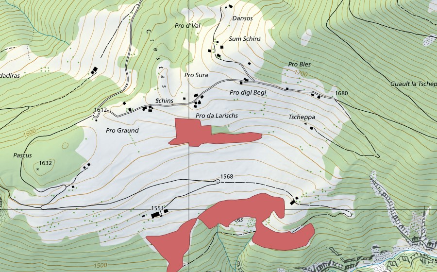 Carte nationale swisstopo avec le périmètre protégé de Schins (Prairie sèche)