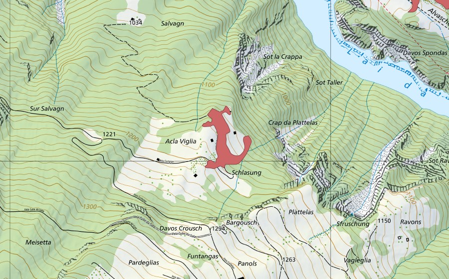 swisstopo national map showing the protected perimeter of Schlasung (Dry meadow)