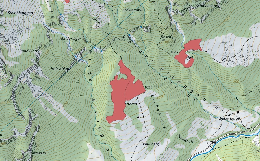 swisstopo national map showing the protected perimeter of Schletter (Dry meadow)